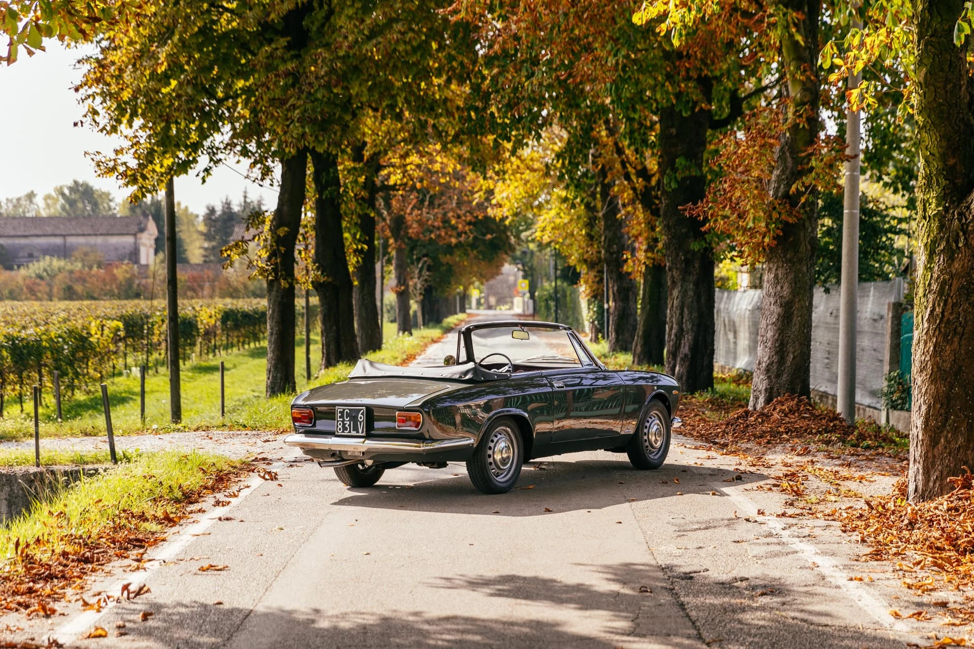 Alfa Romeo Giulia GTC - Touring - 1966 - 02