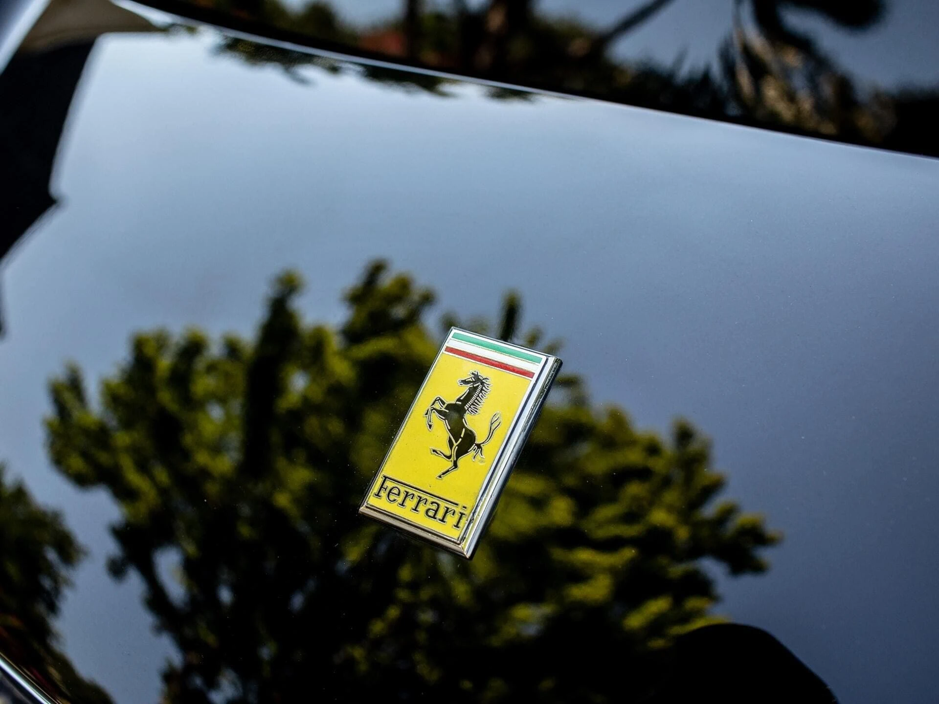 Ferrari 275 GTS 1965 06