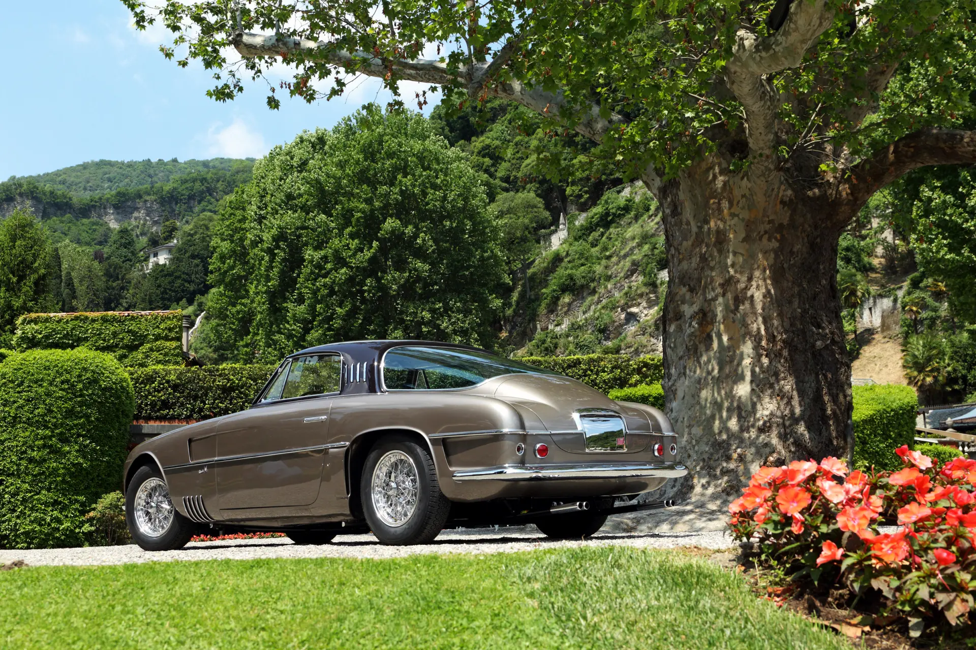 Ferrari 250 Europa (Vignale) - 1953 -113