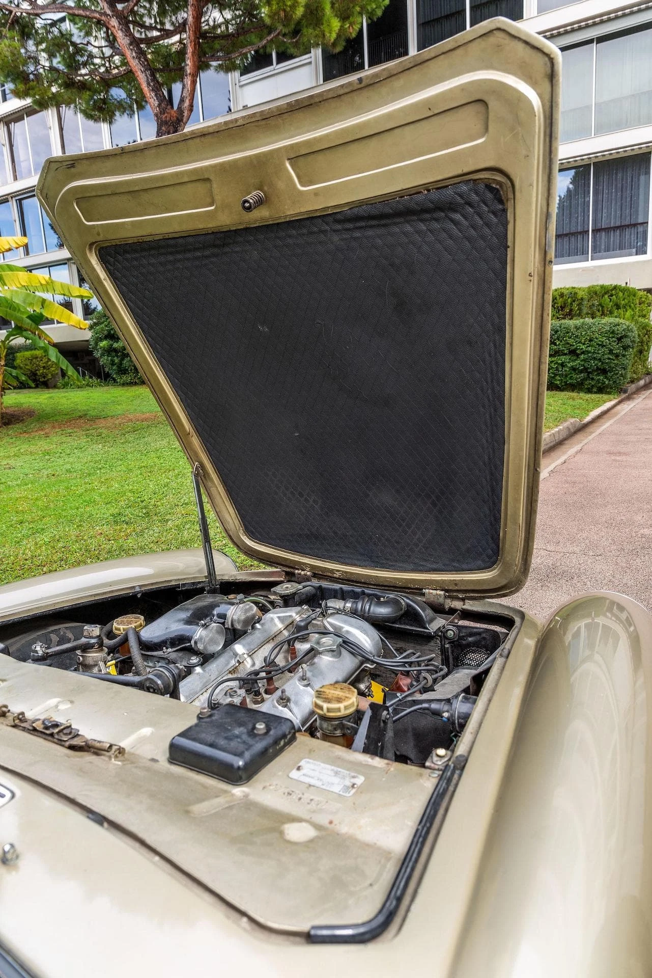 OSCA 1600 GT Spider Maina 1964 14