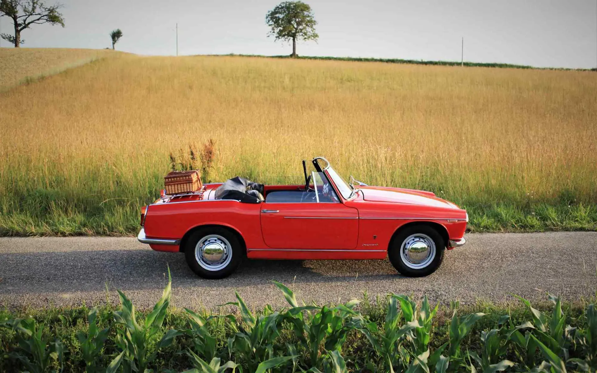 Innocenti Spider S 1100 - 1968 - 12