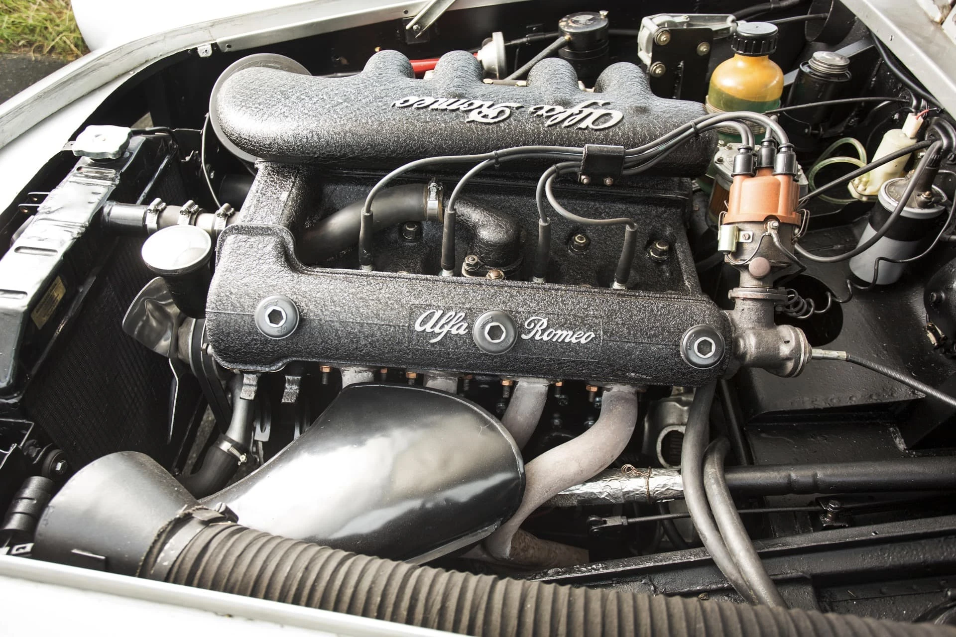 Alfa Romeo 1900 C Super Sprint Coupé Ghia-Aigle 1959 9