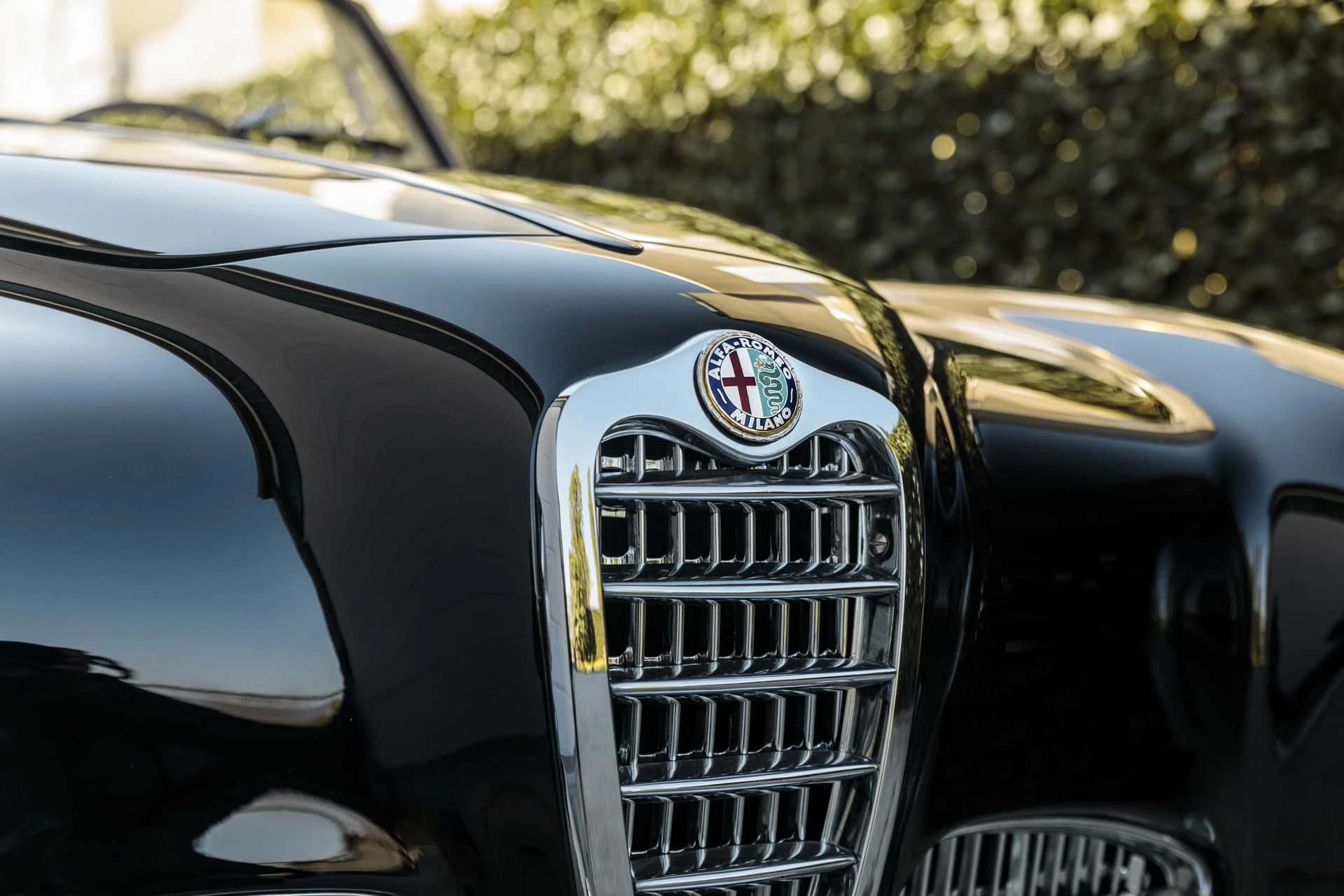 Alfa Romeo 1900 C cabriolet Pinin Farina 1953 26