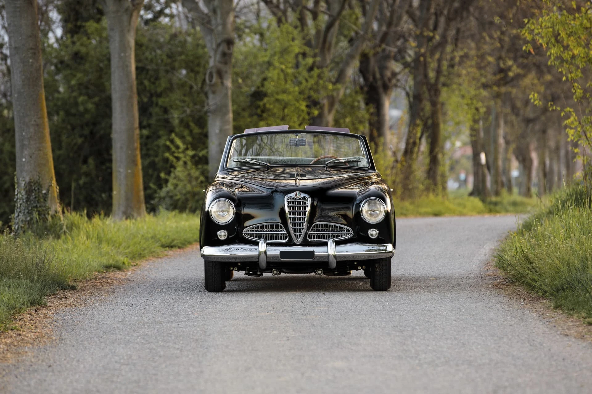 Alfa Romeo 1900 C cabriolet Pinin Farina 1953 3