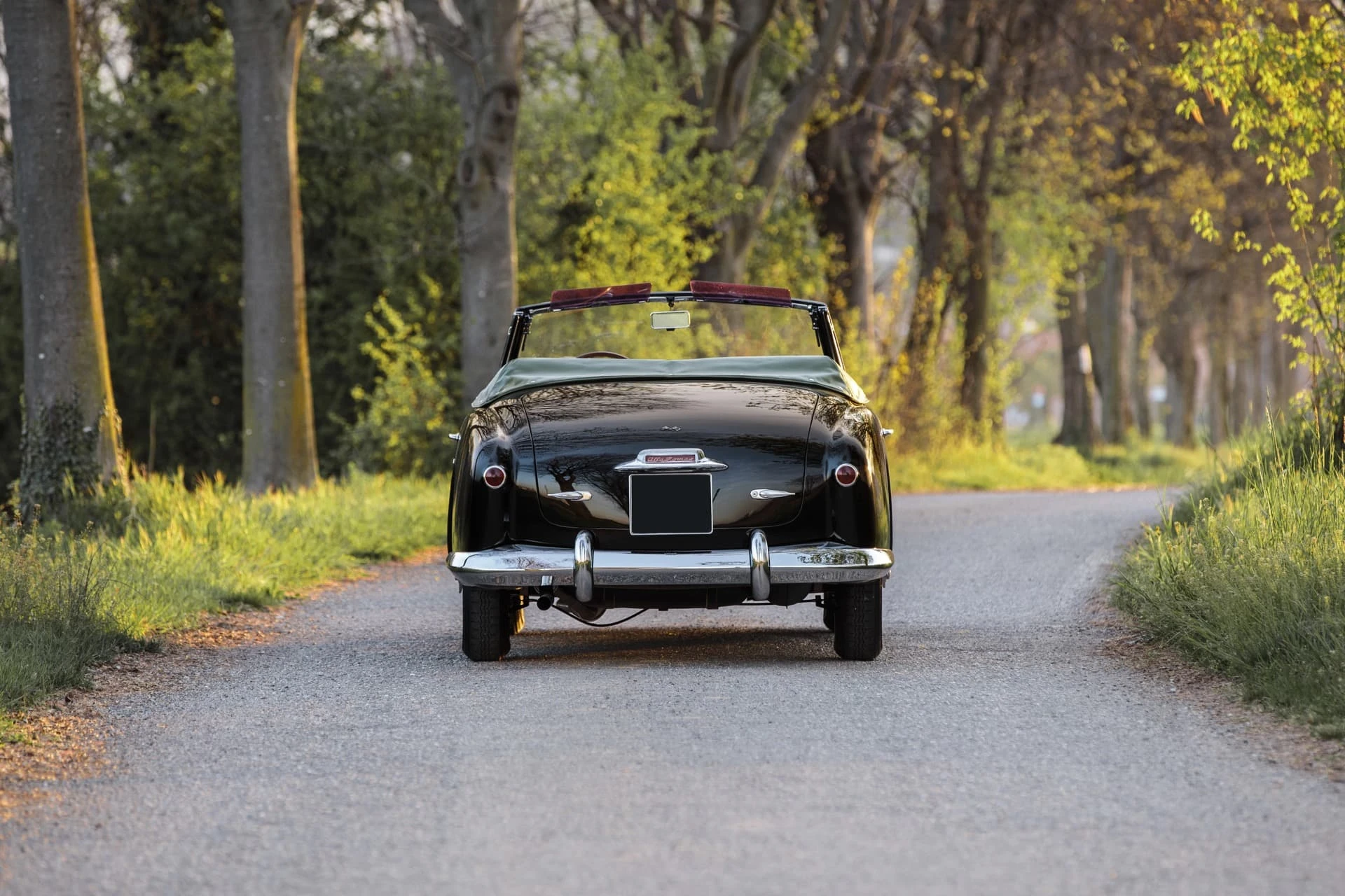 Alfa Romeo 1900 C cabriolet Pinin Farina 1953 4