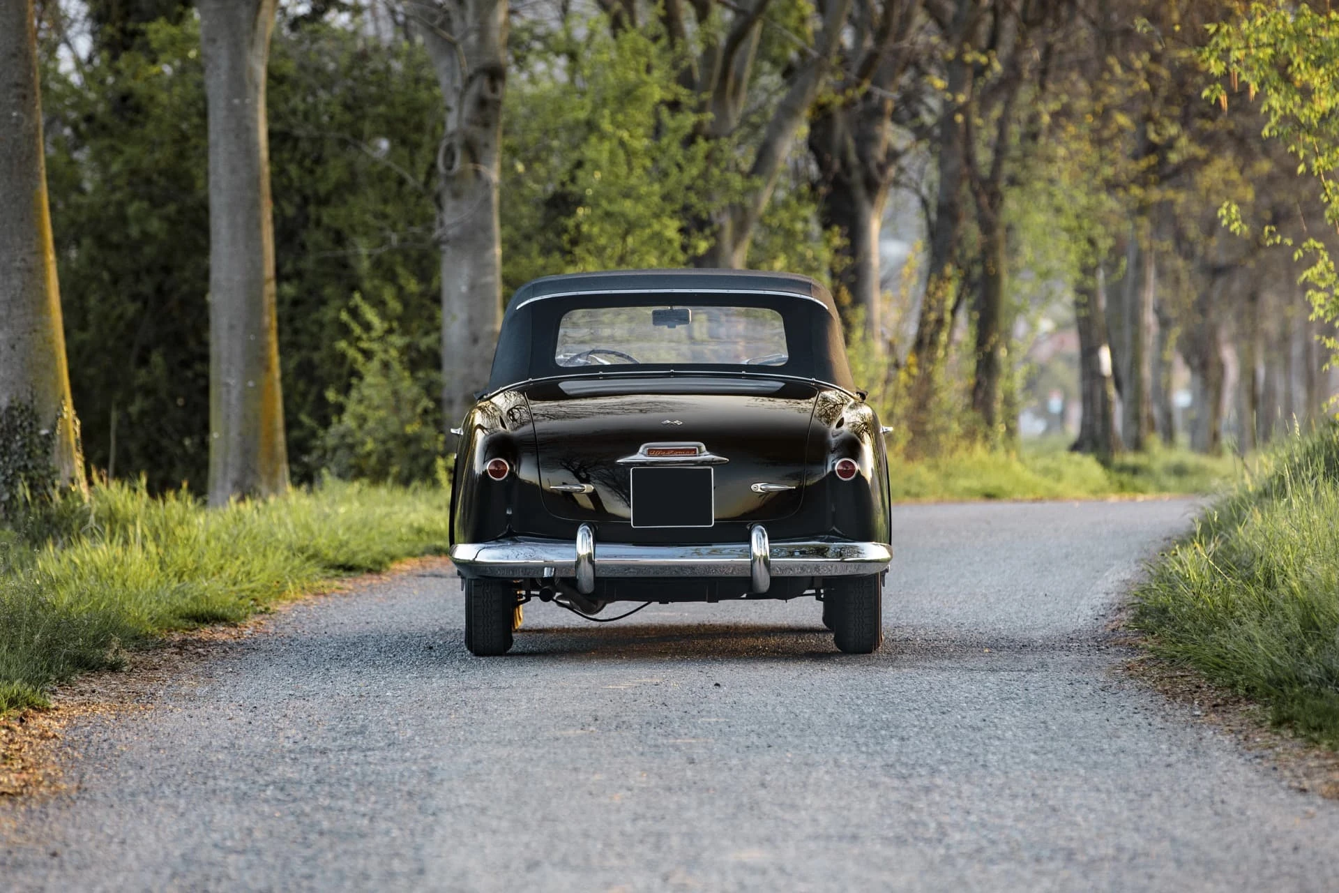 Alfa Romeo 1900 C cabriolet Pinin Farina 1953 6