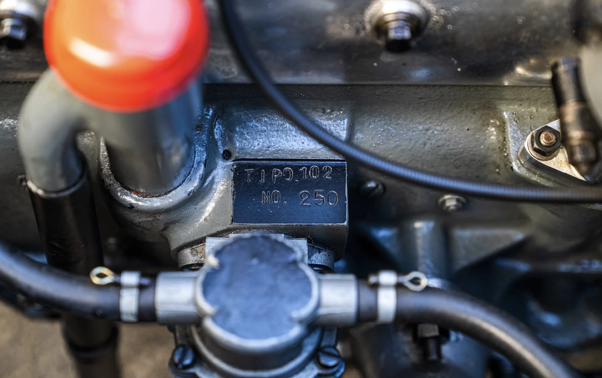 Cisitalia 202 SC Gran Sport Cabriolet Vignale 1951 51