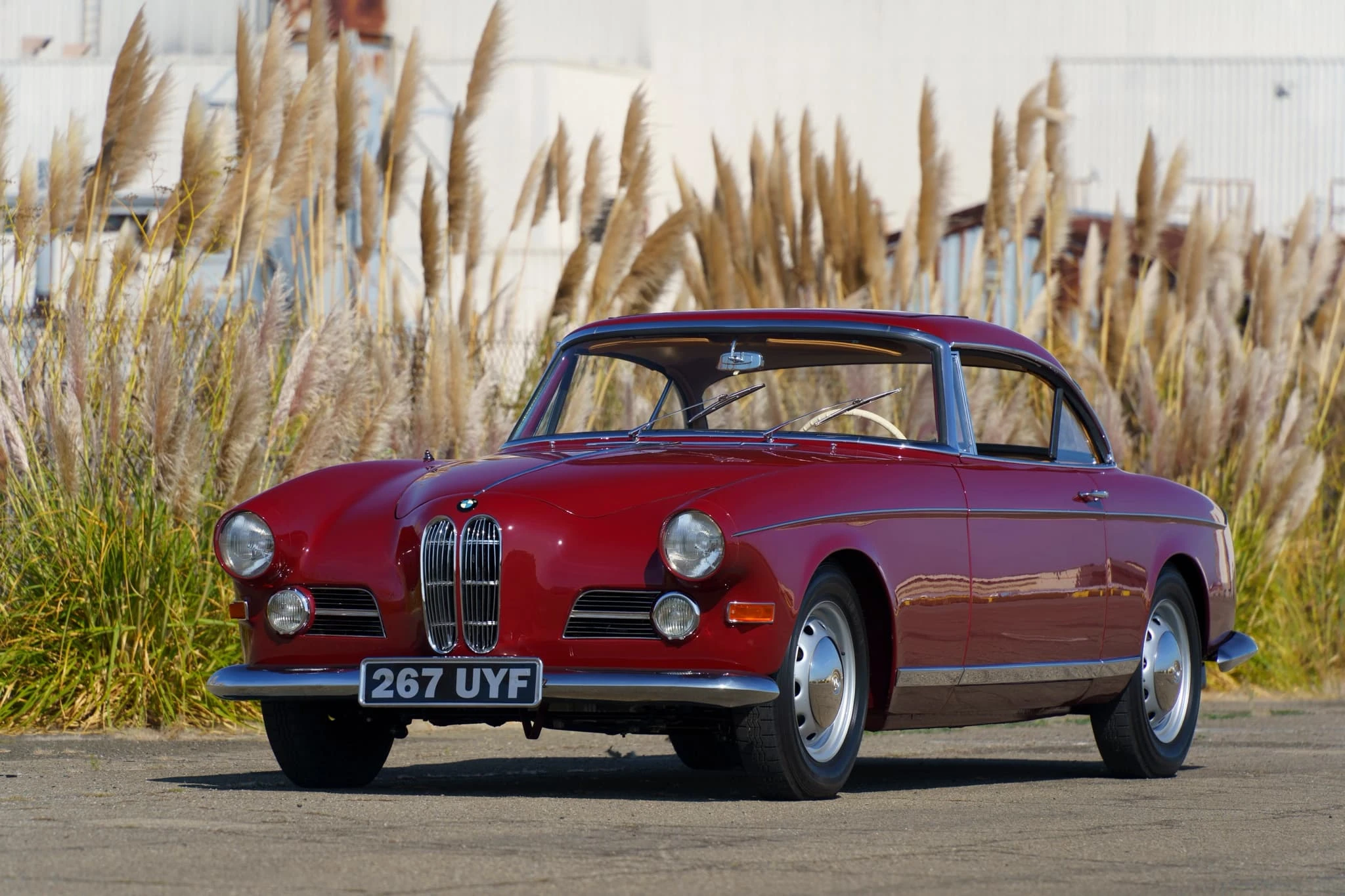 BMW 503 Coupe 1957 3