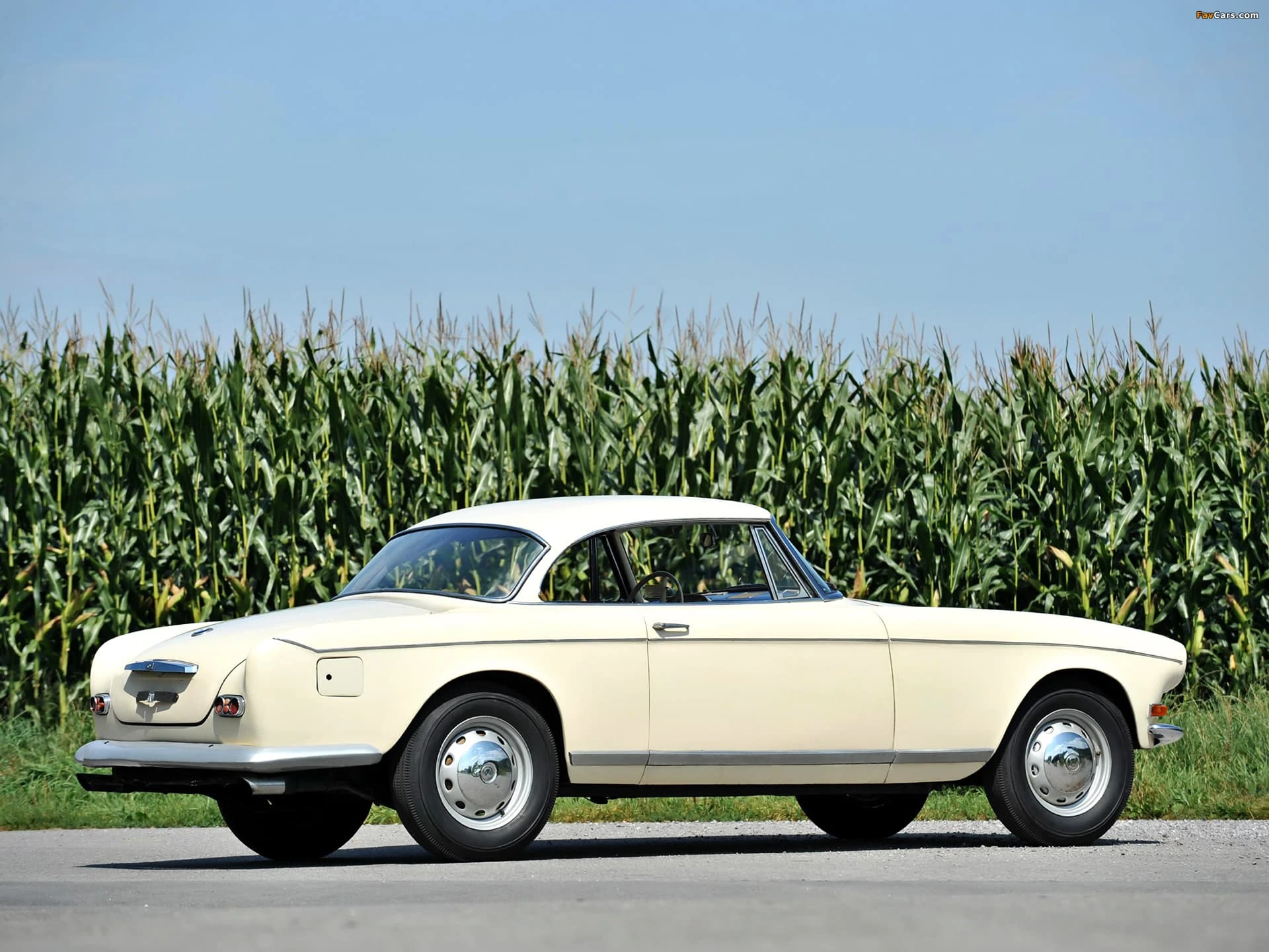 BMW 503 Coupe Ghia-Aigle 1957 03