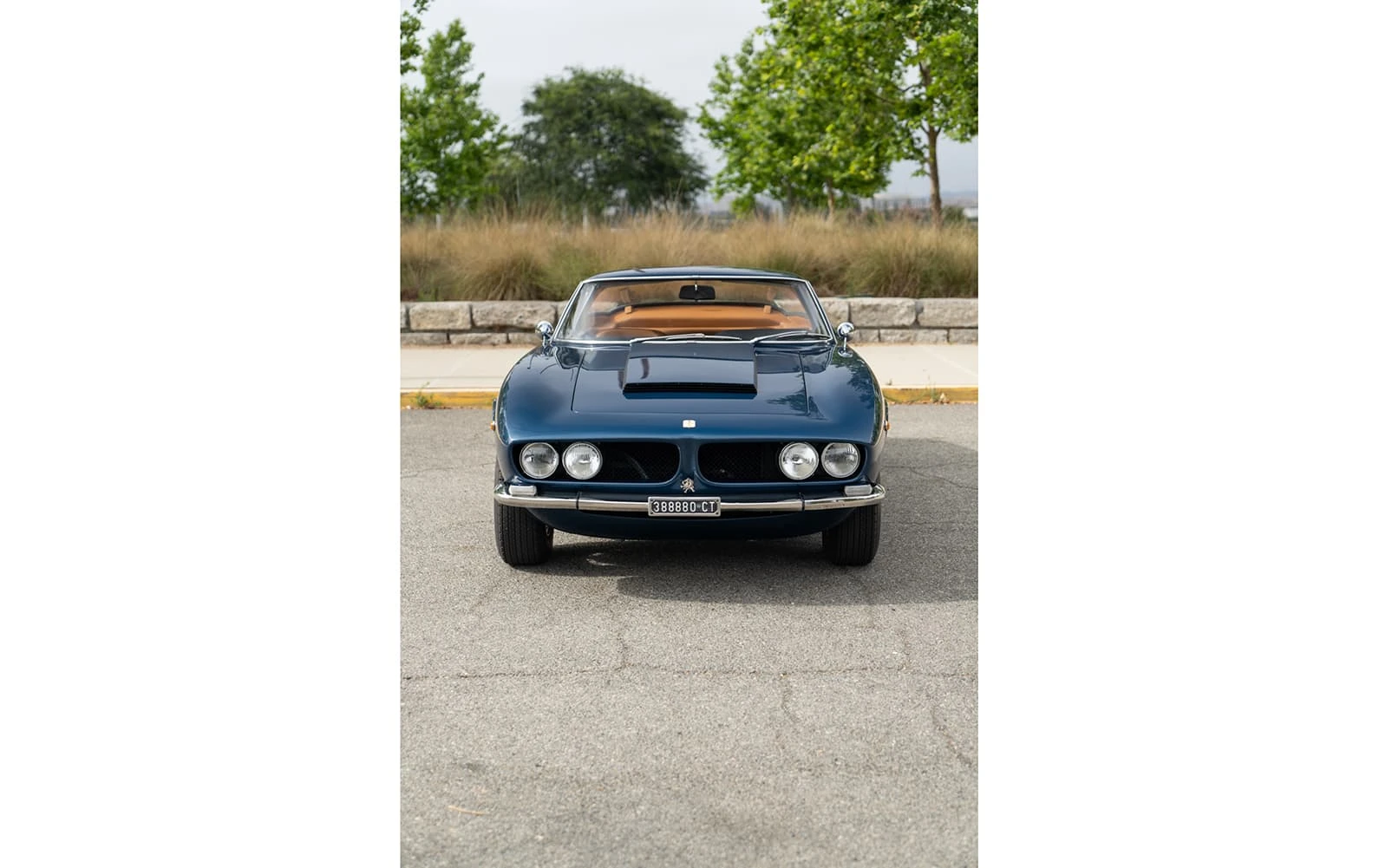 Iso Grifo 7 Litri (Bertone) - 1969 9