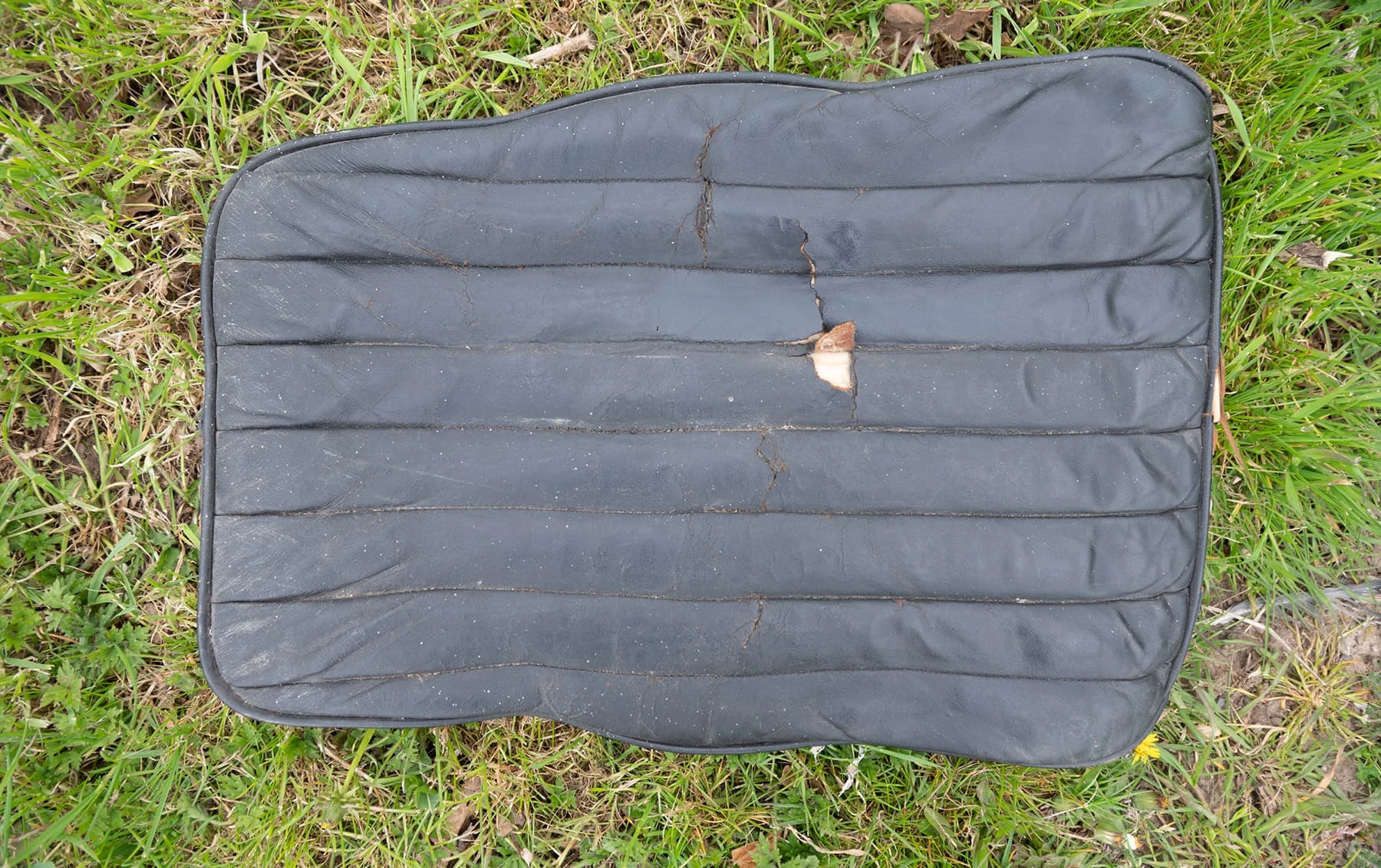 AC Ace Bristol - 1959 55