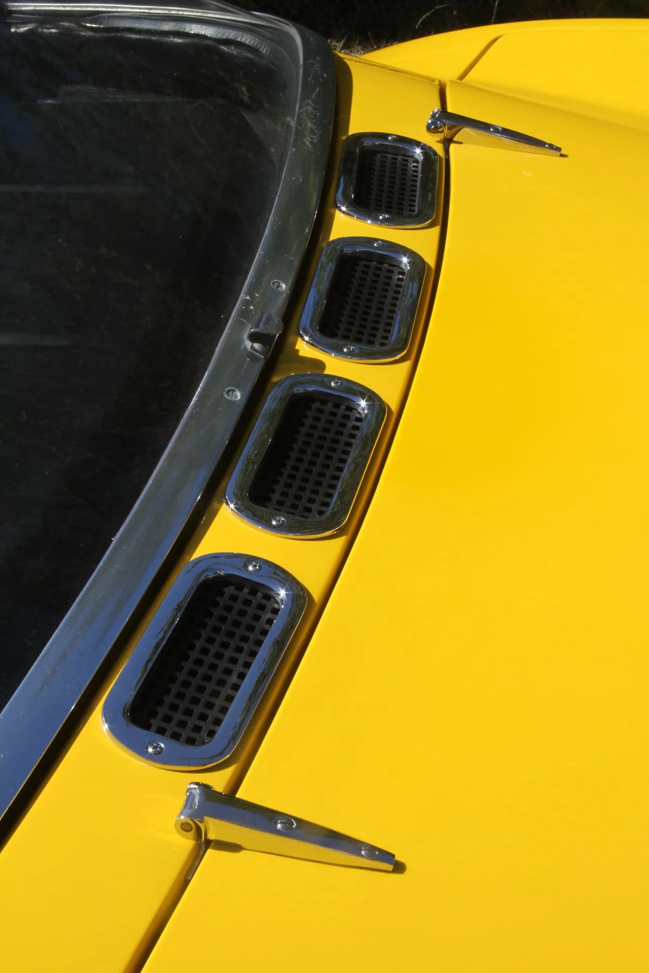 Marta Dave Gooley photo