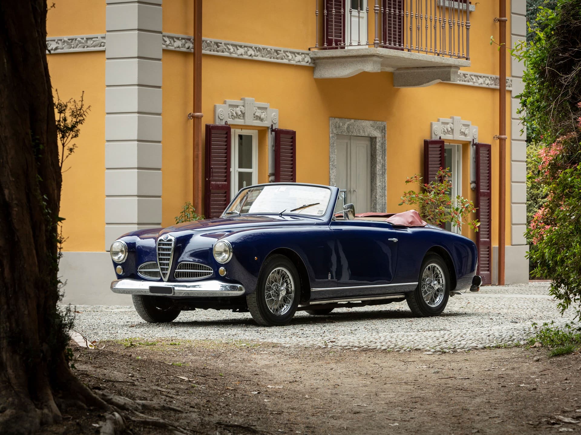 Alfa Romeo 1900 C Cabriolet Pinin Farina - 1953 1