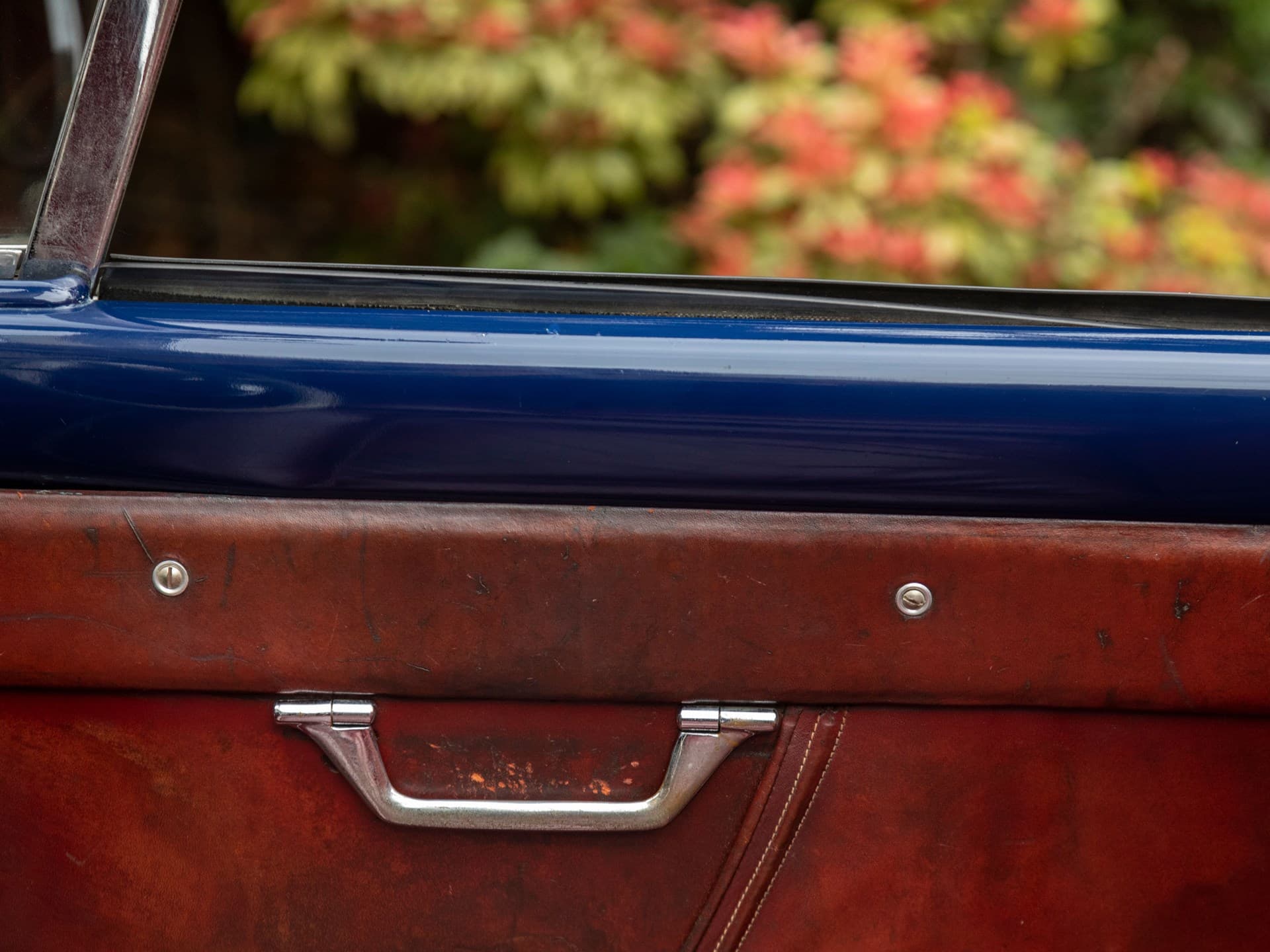 Alfa Romeo 1900 C Cabriolet Pinin Farina - 1953 45