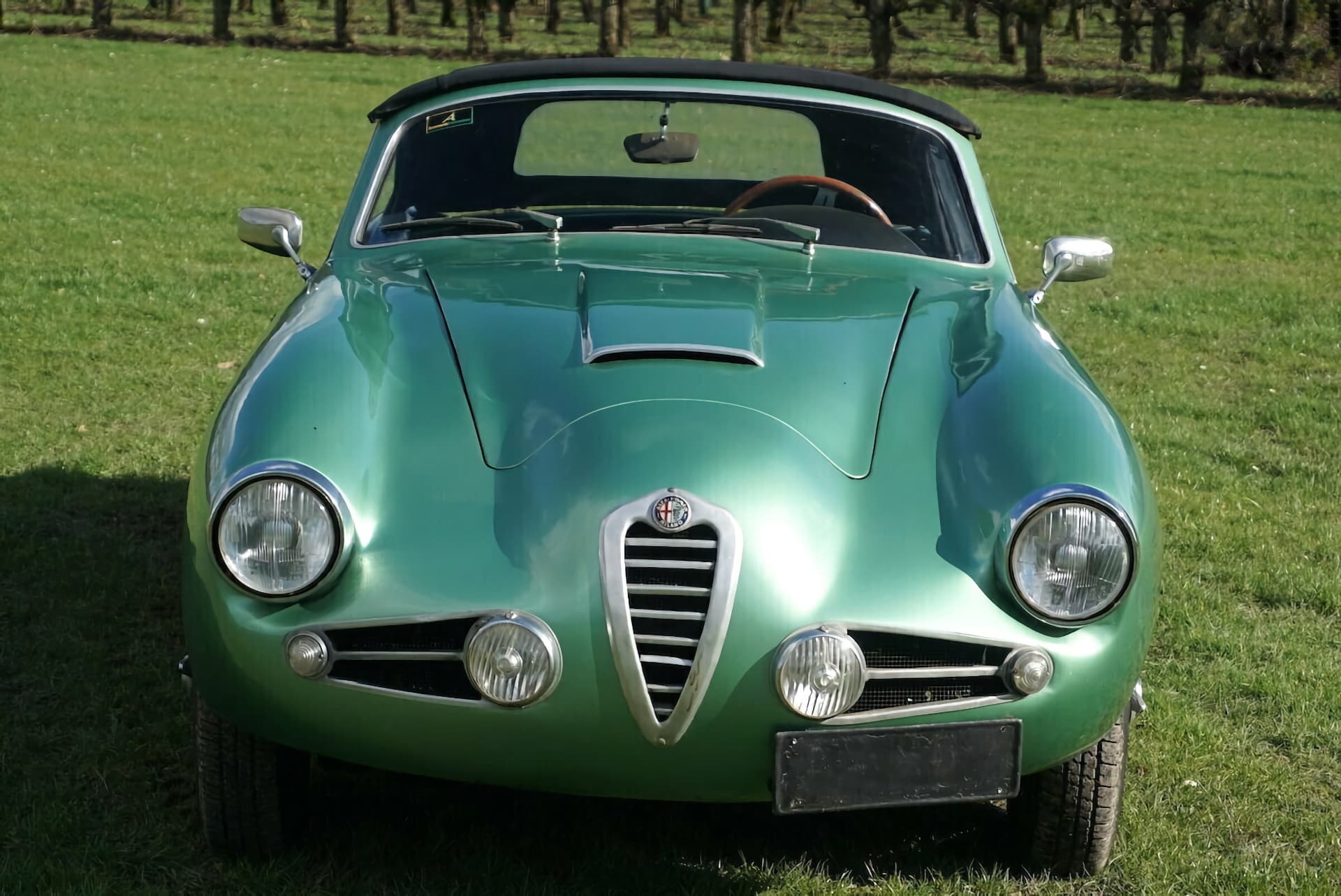 Alfa Romeo 1900 SSZ Zagato - 1955 12