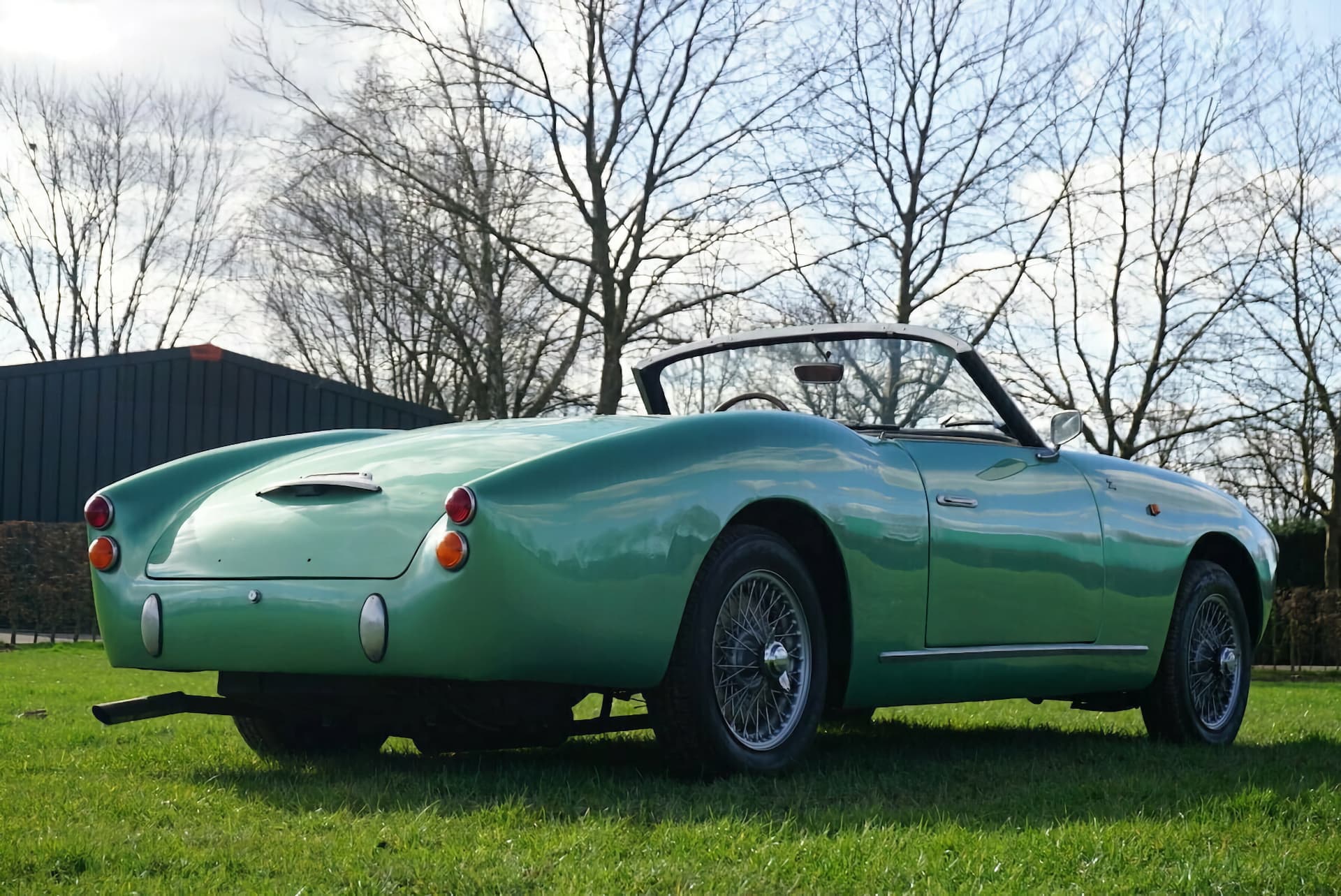 Alfa Romeo 1900 SSZ Zagato - 1955 9