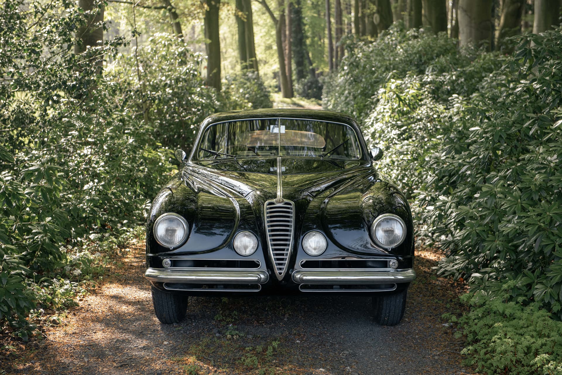 Alfa Romeo 6C Villa d'Este - Touring - 1951 - 02