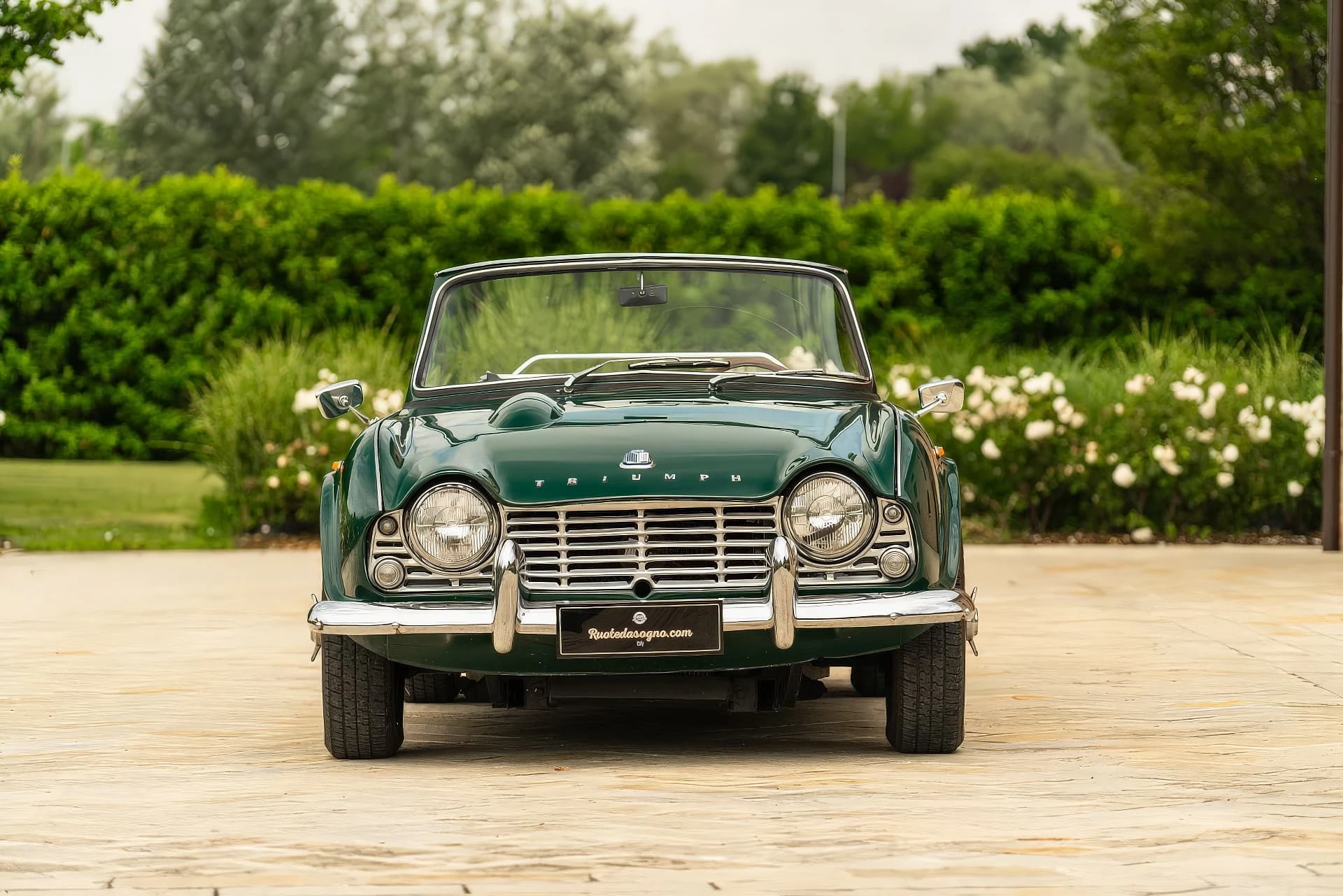 Triumph Ducati TR4 Sport (Michelotti) - 1964 - 03