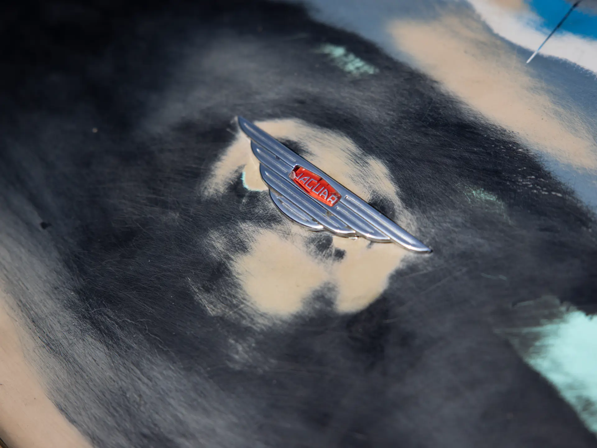 Jaguar XK140 Michelotti 1955 05