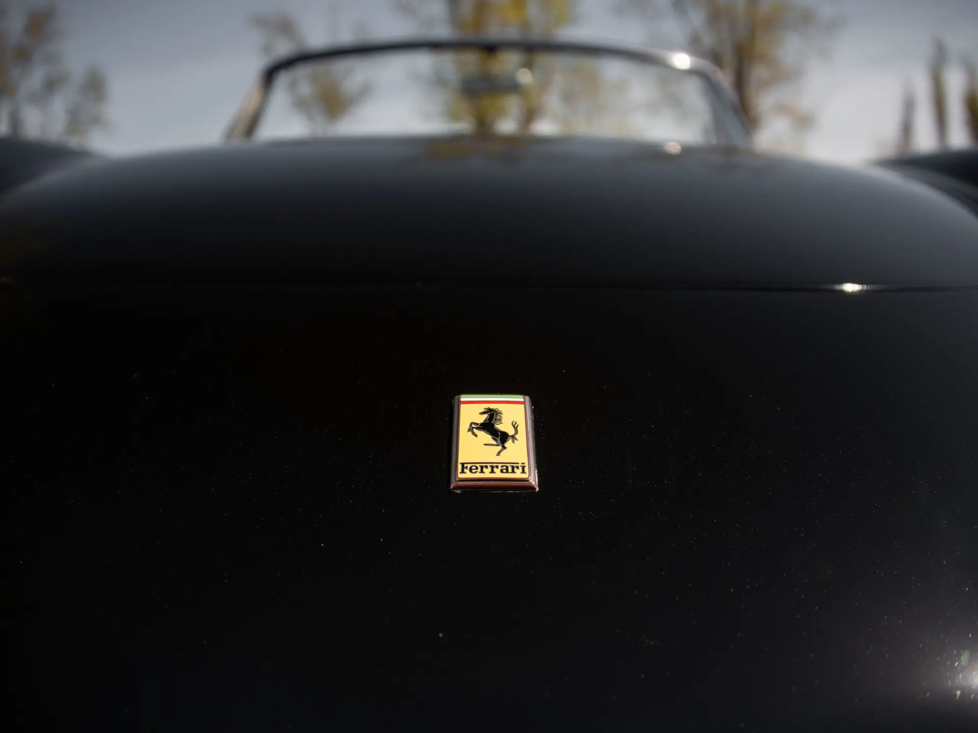 Ferrari 365 GTS (Pininfarina) - 1969 - 18