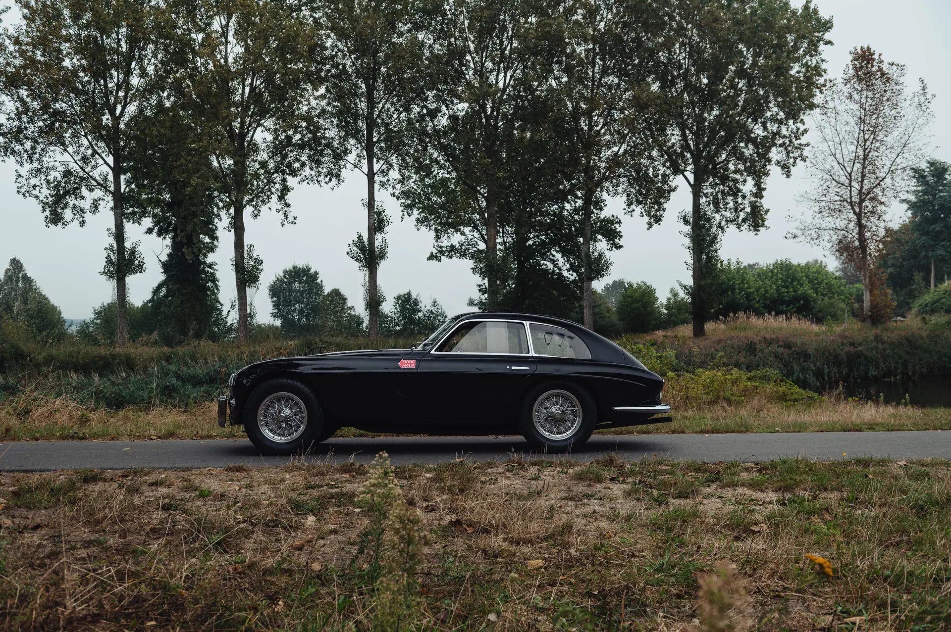 Ferrari 340 America Berlinetta (Touring) - 1951 -19
