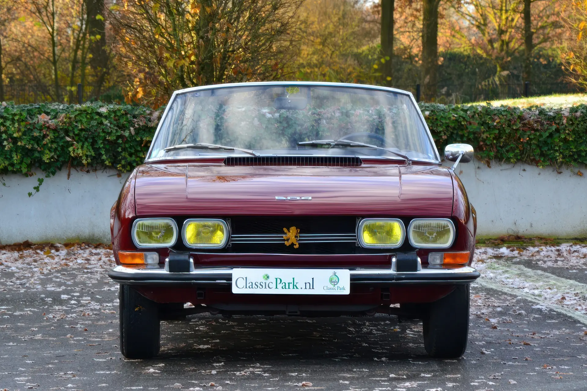 Peugeot 504 Cabriolet (Pininfarina) - 1970- 08
