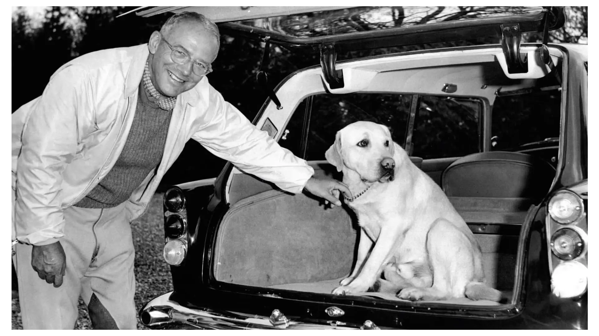 Aston Martin DB5 Shooting Brake - 1965-15