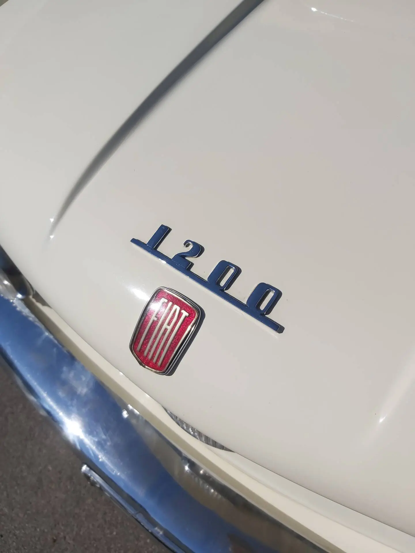 Fiat 1200 Granluce (Pininfarina) - 1958 - 12