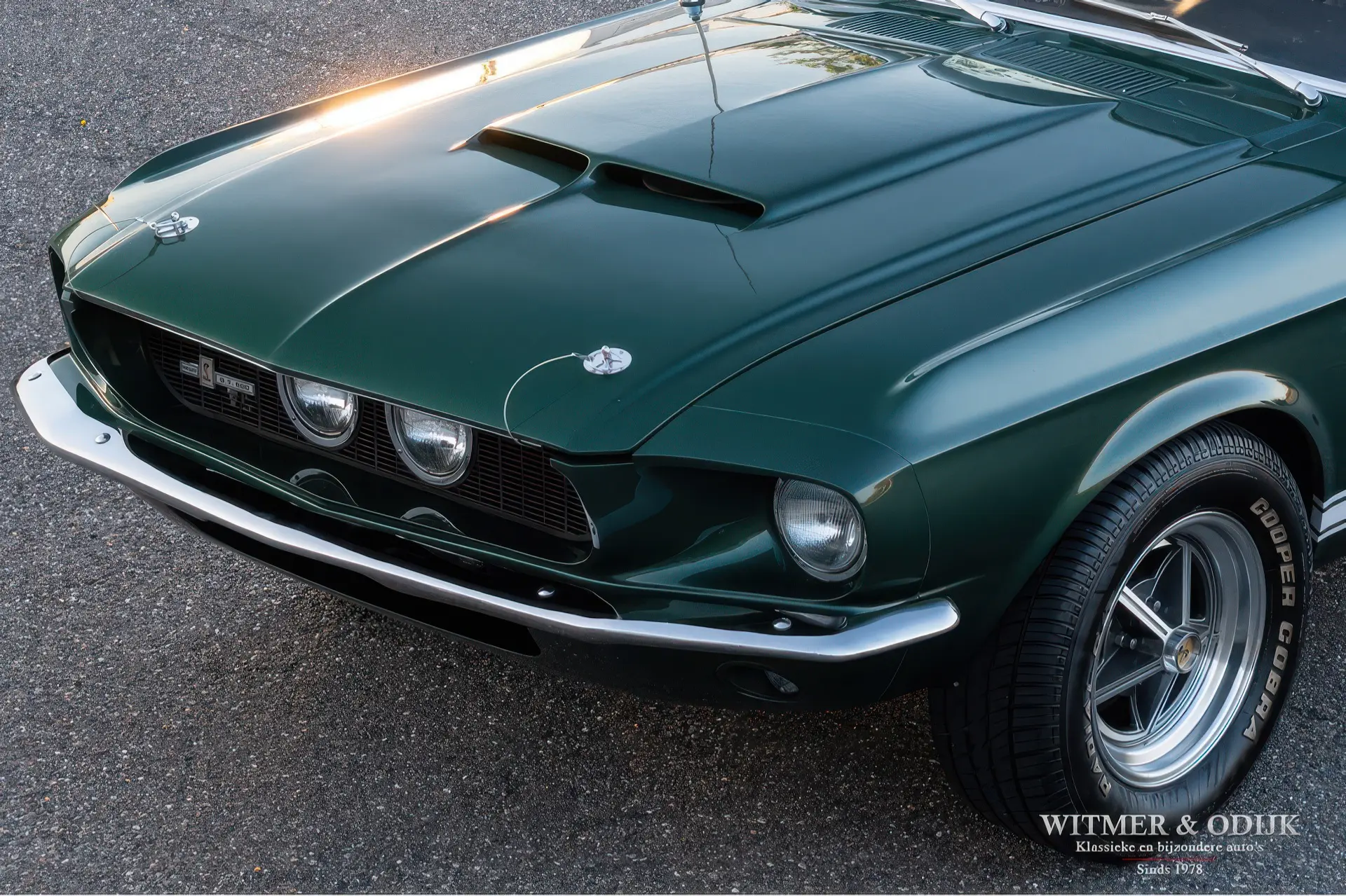 Ford Shelby GT 500 Fastback - 1967 -16