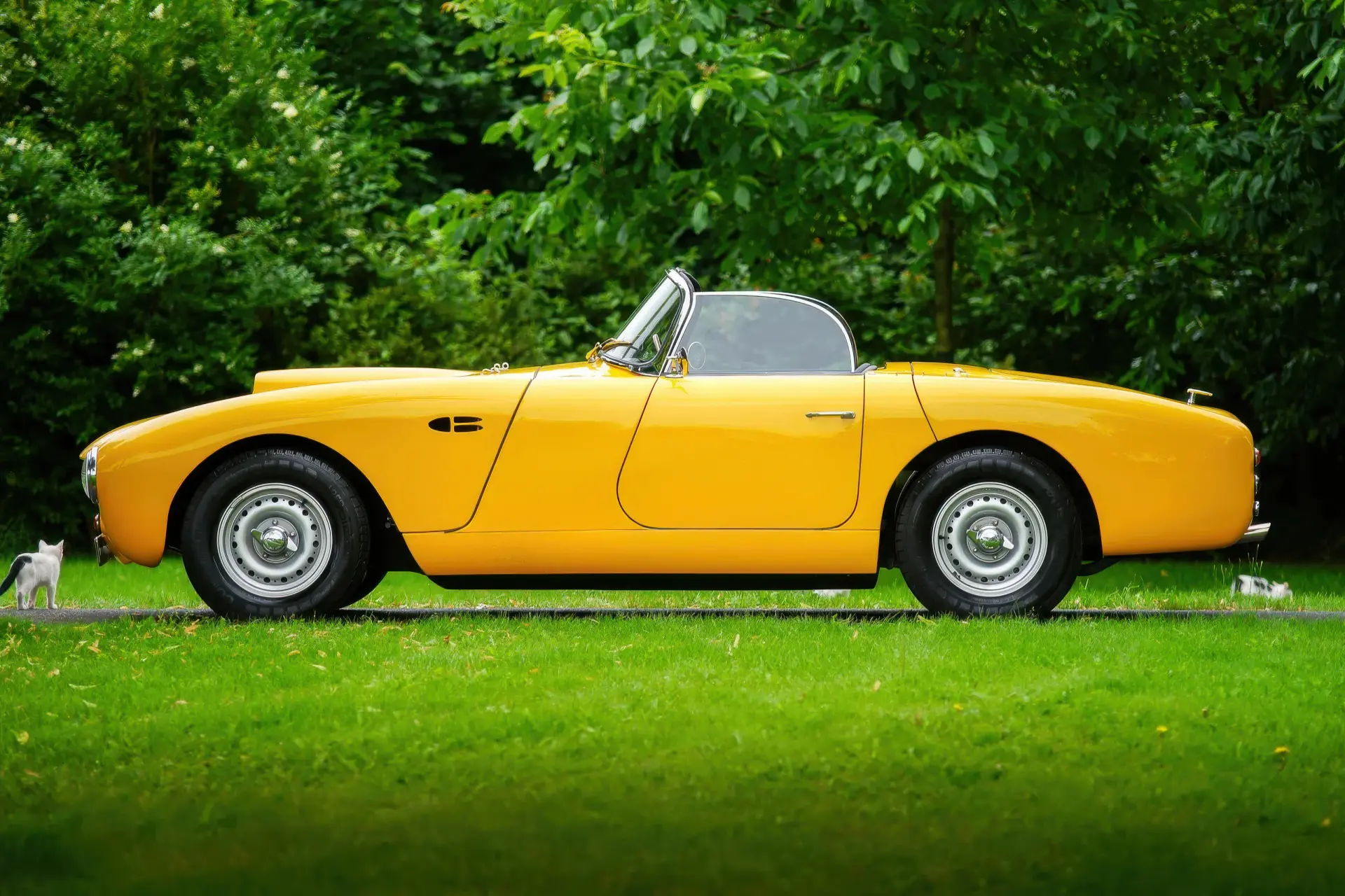 Jaguar-XK-150-Special-1959-02