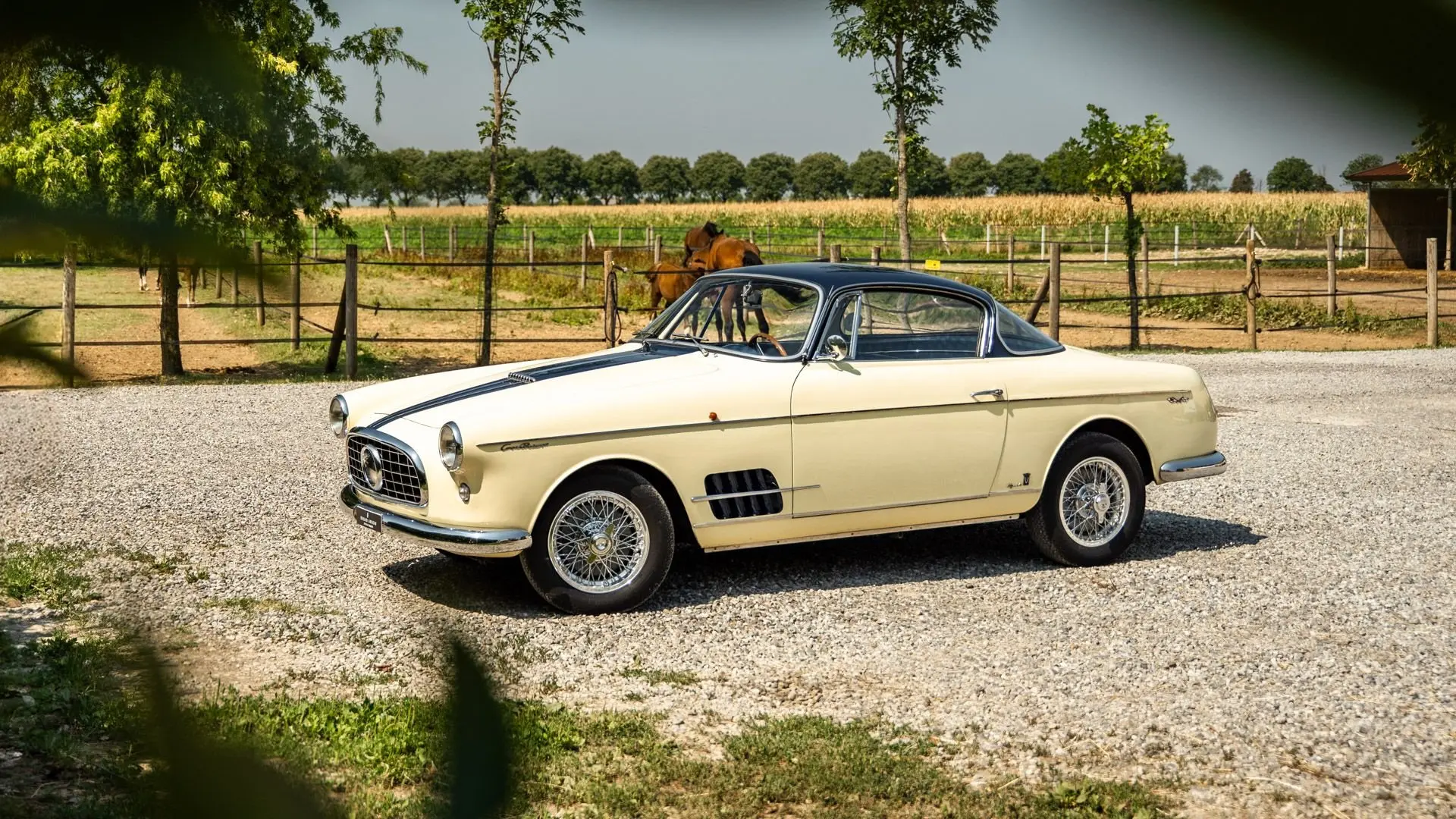 Fiat 1100 TV coupé Printemps Vignale -01